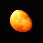 Mond